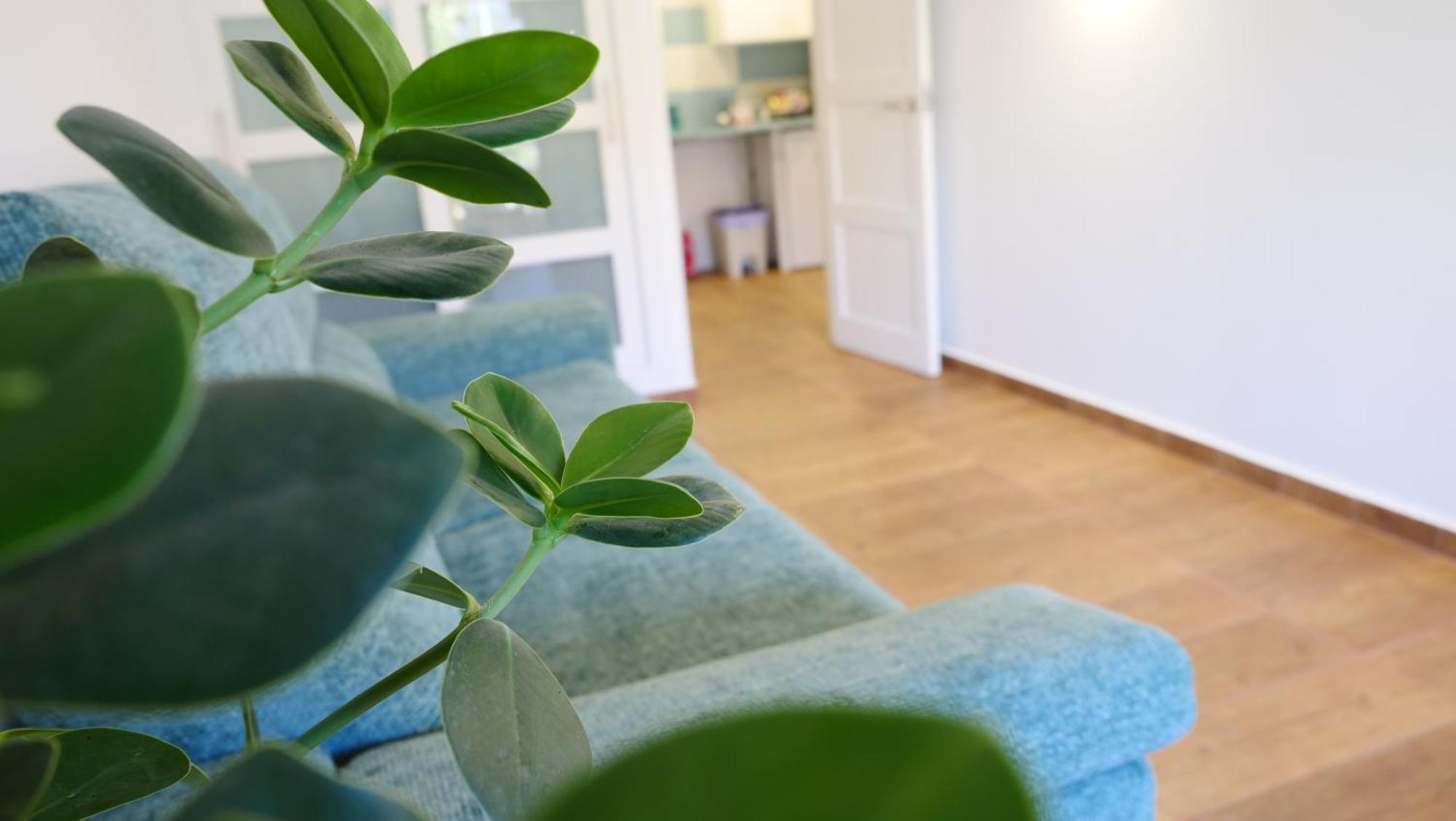Tuerkiz Kanaan Apartman Puerto de Santiago  Buitenkant foto