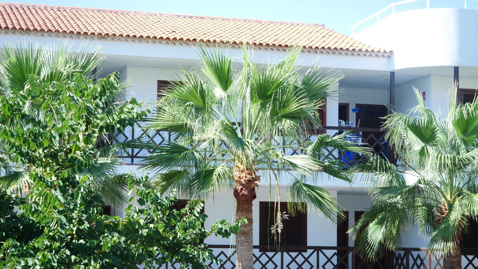 Tuerkiz Kanaan Apartman Puerto de Santiago  Buitenkant foto